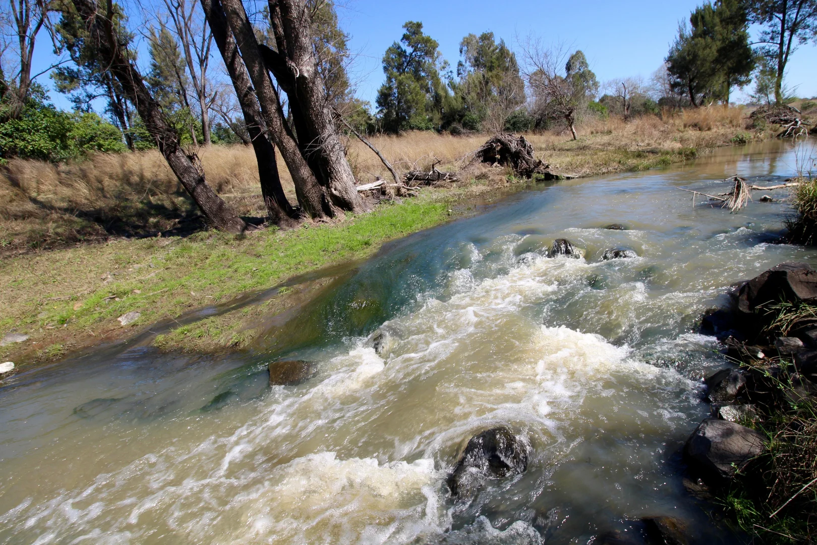 Additional image 14 of 88 Toms Dr, Inverell NSW 2360
