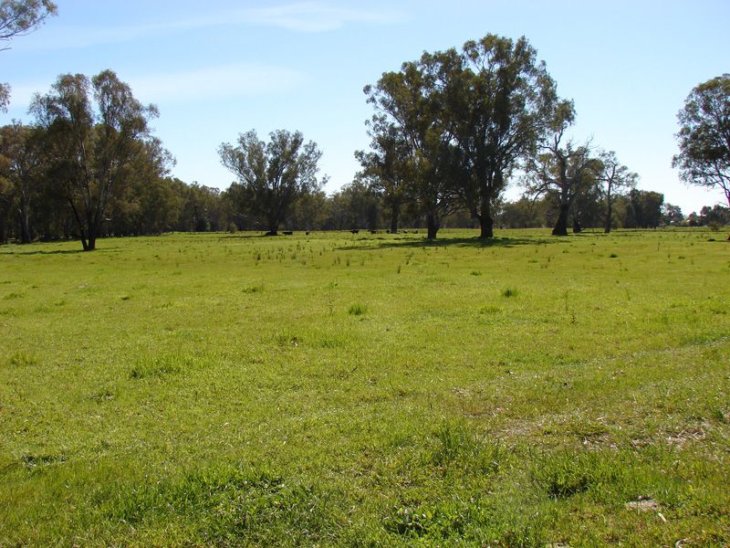 2850 Old Narrandera Road, CURRAWARNA NSW 2650, Image 2