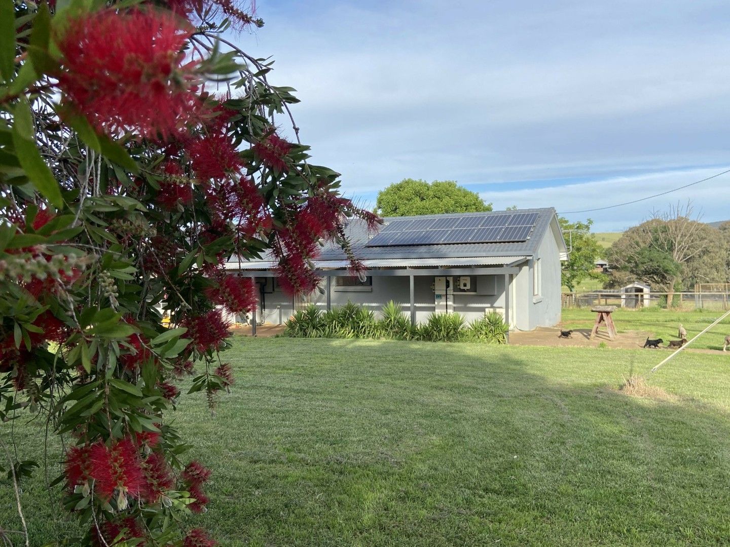 3 bedrooms Rural in 1225 South Bowan Park Rd CARGO NSW, 2800