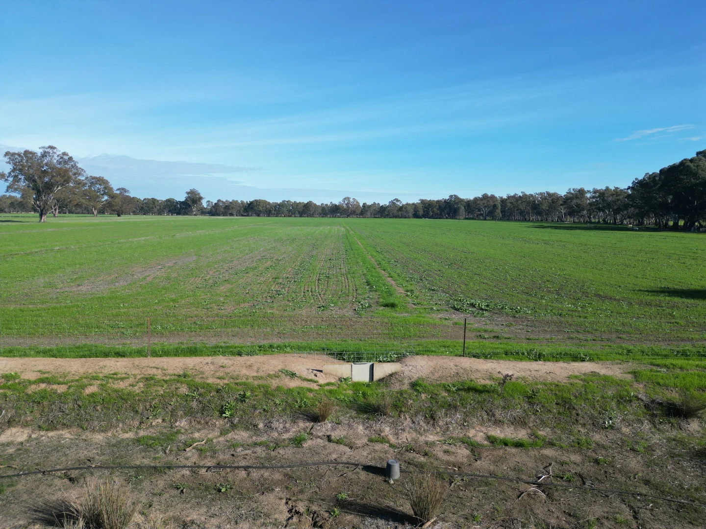 Image 25
