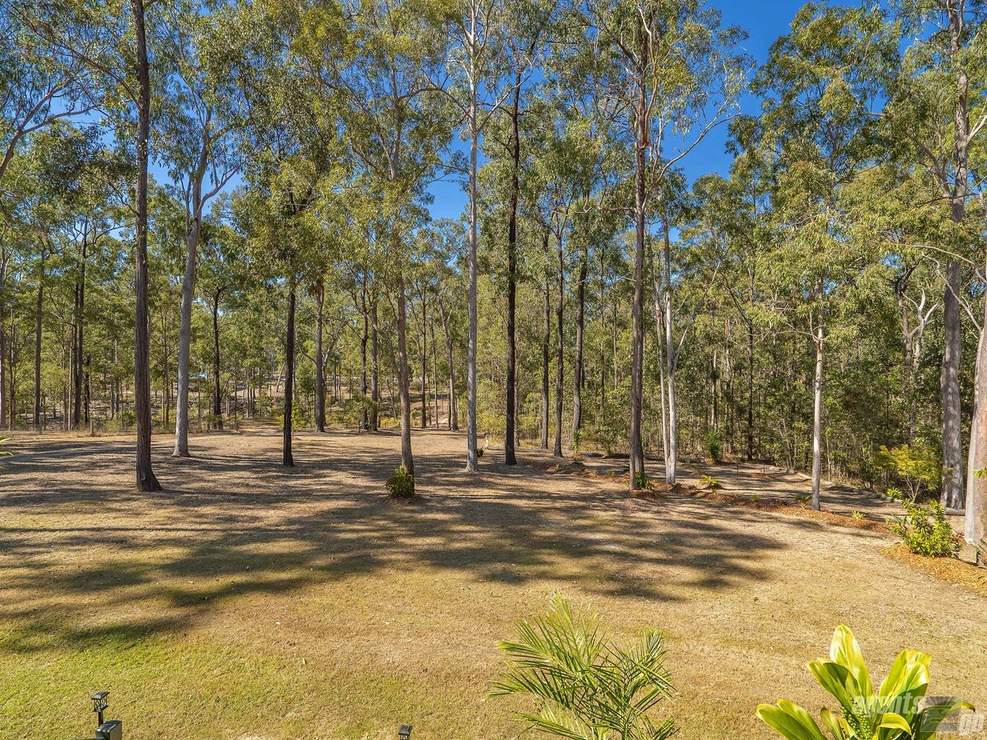 422 Arborten Road, Glenwood QLD 4570, Image 2