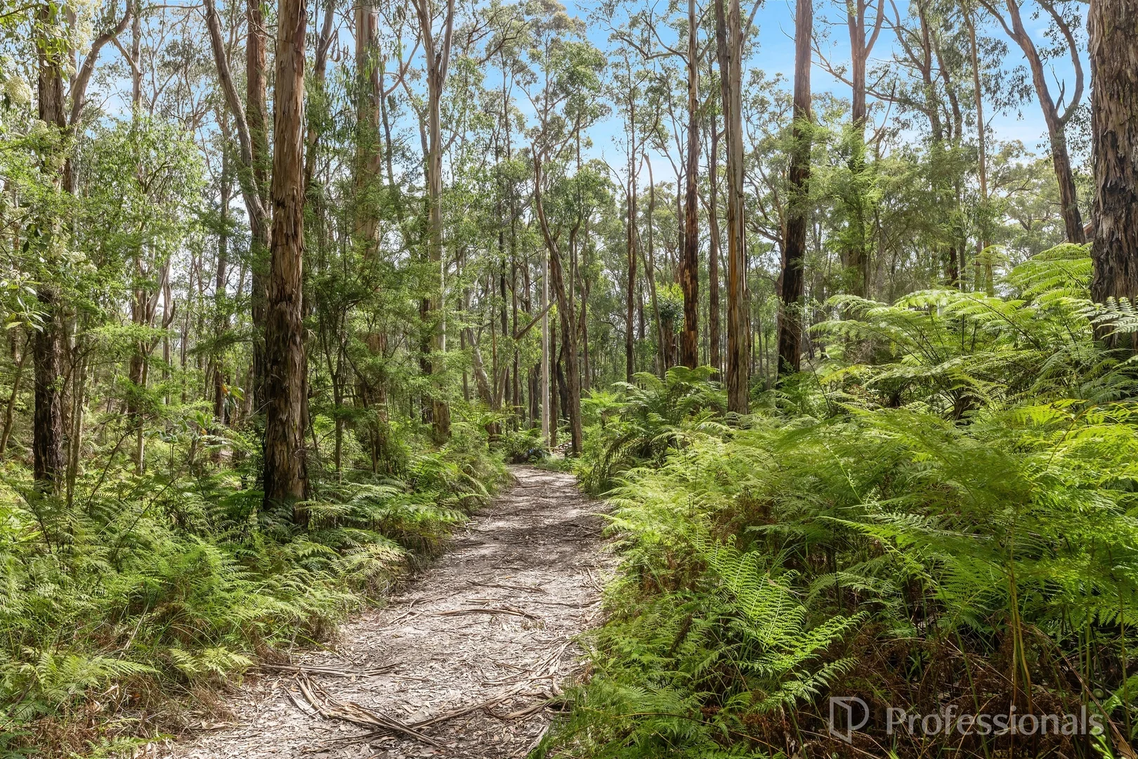 Additional image 8 of 221 Milners Road, Yarra Junction VIC 3797