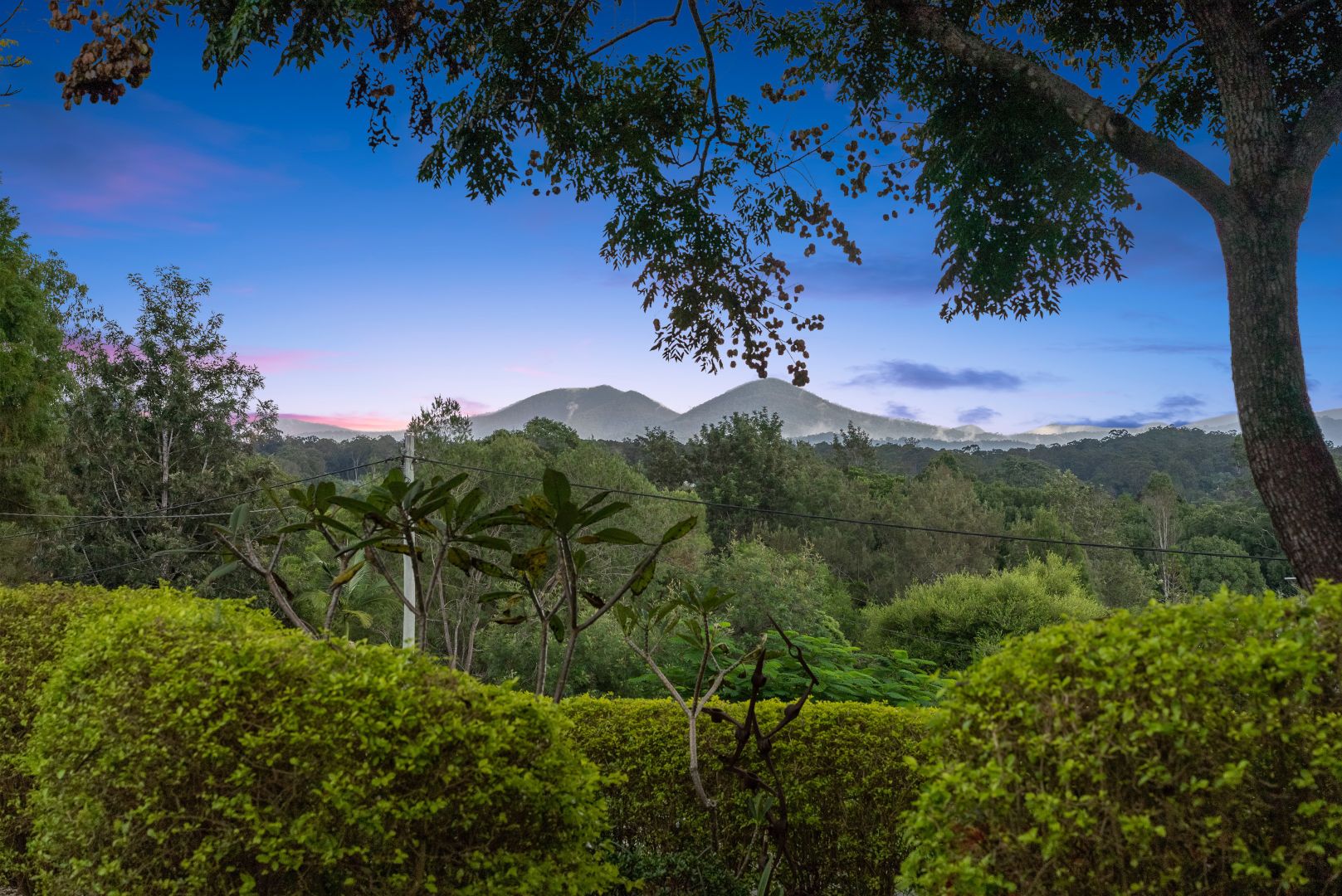 mountain view tree service dayboro