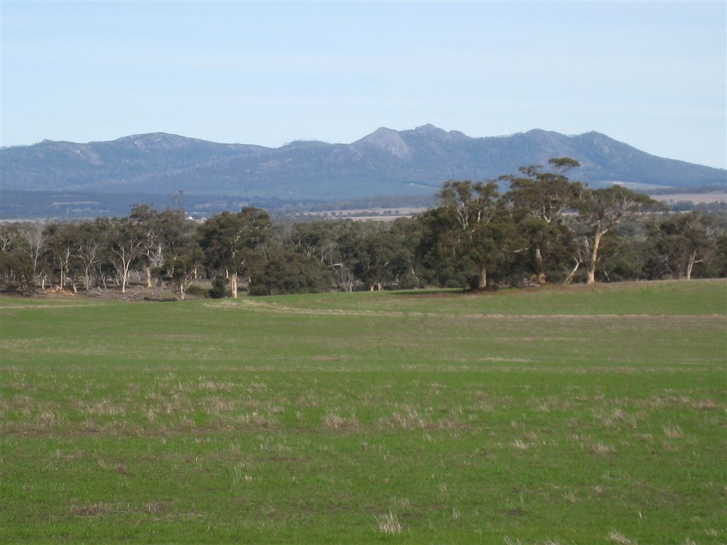 2913 Woogenellup Road, Woogenellup WA 6324, Image 1