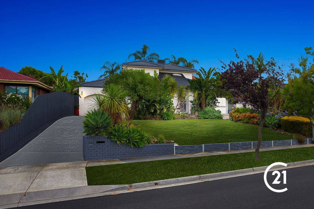 6 Crossdale Rise, Endeavour Hills VIC 3802 Domain