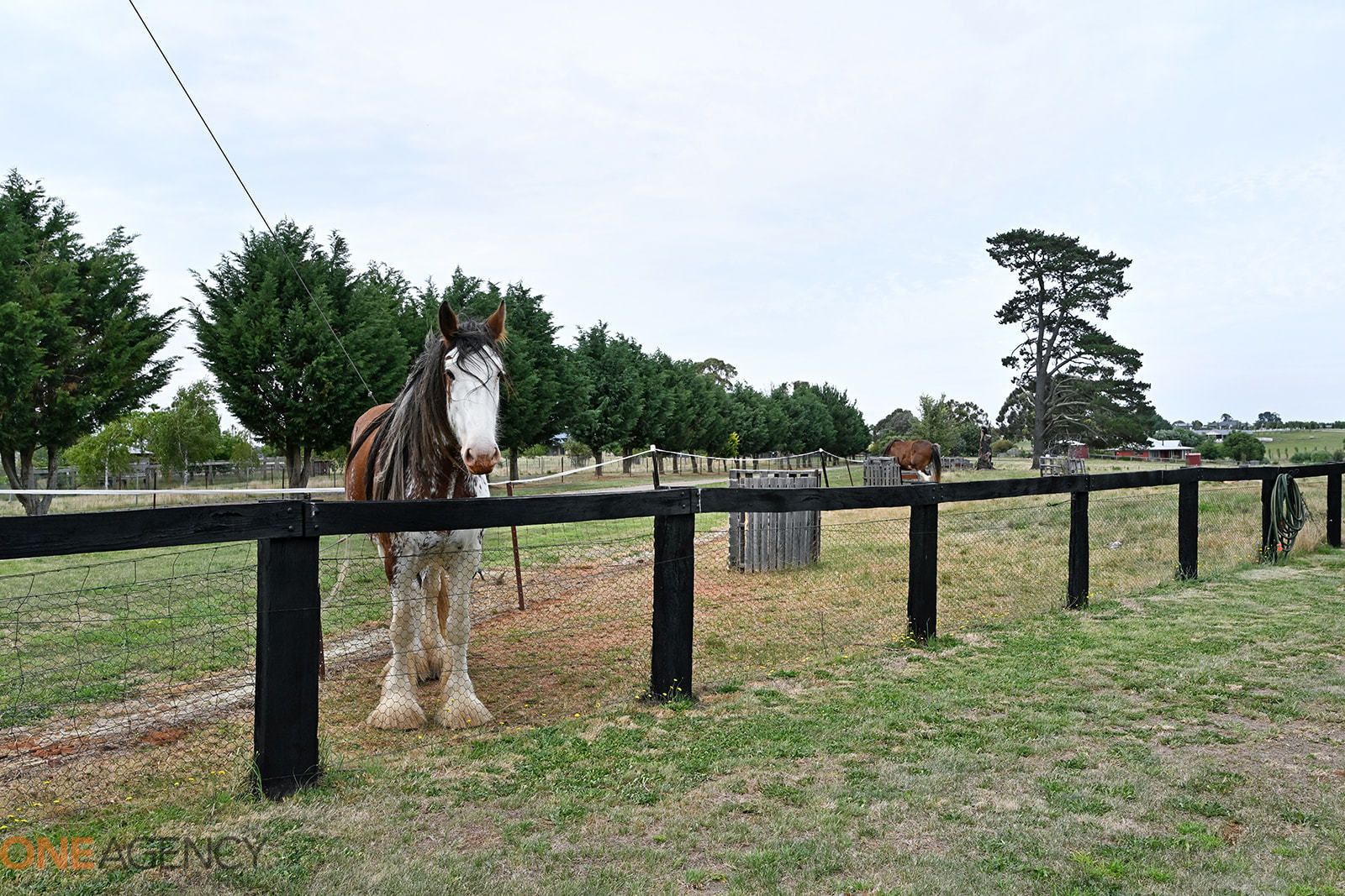 48 Buesnel Lane, Millthorpe NSW 2798 House for Sale Domain