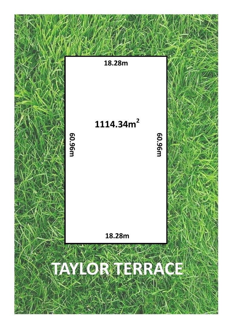 13 Taylor Terrace, Rosslyn Park SA 5072, Image 0
