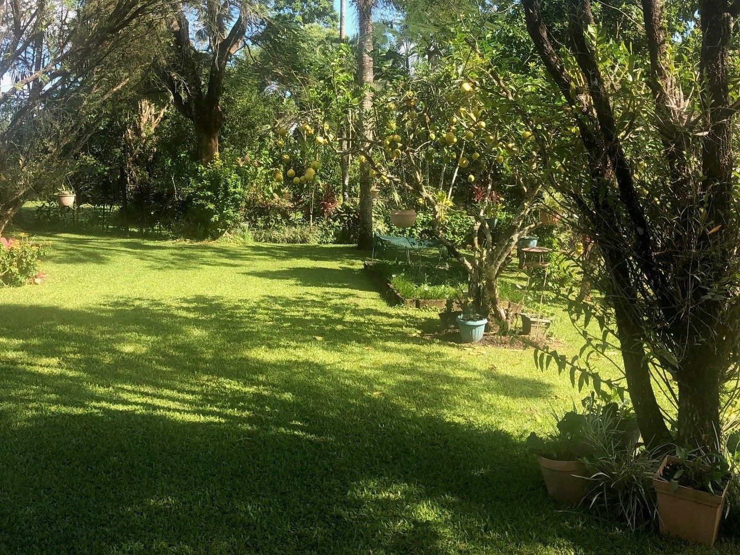 69-laurie-street-hudson-qld-4860-domain