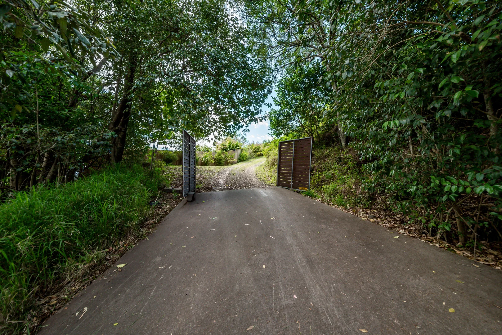 Image 13