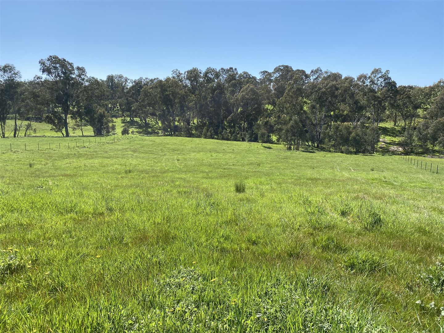 Lot 18, 20, 21 & 22 Lew Ton Circuit, Alexandra VIC 3714, Image 2