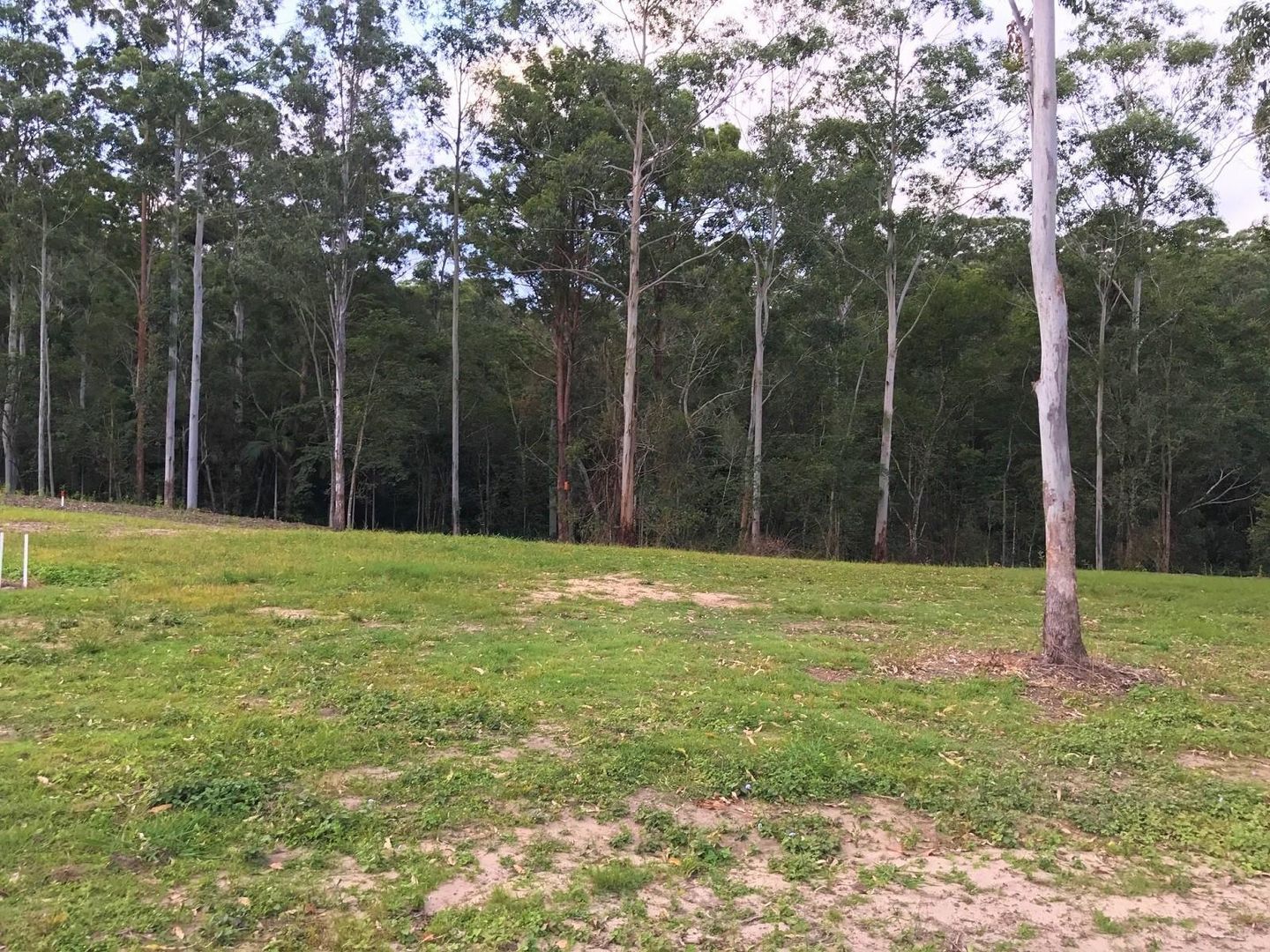 Lot 9 Songbird Place, Mooloolah Valley QLD 4553, Image 2