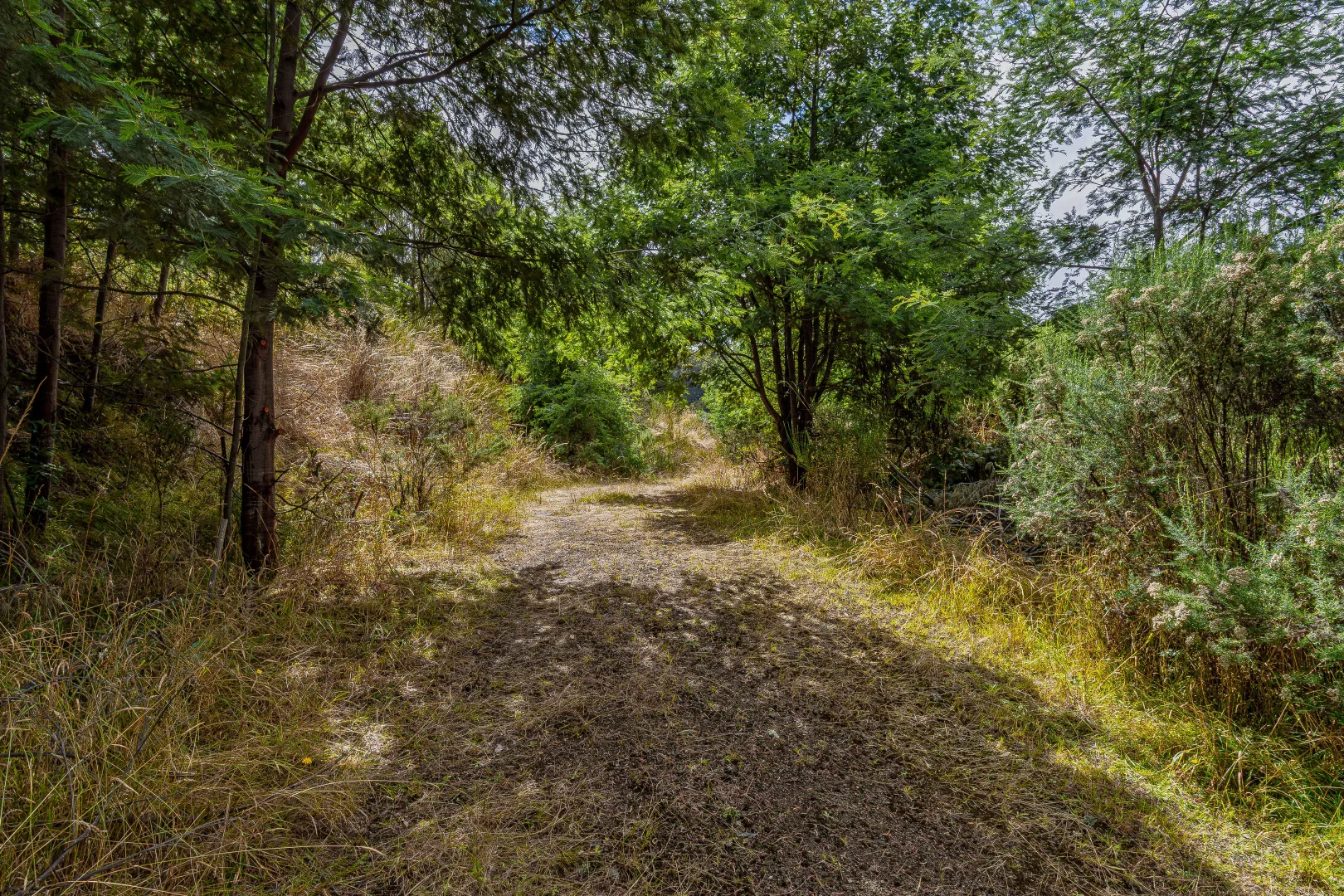 Additional image 19 of Geeveston TAS 7116