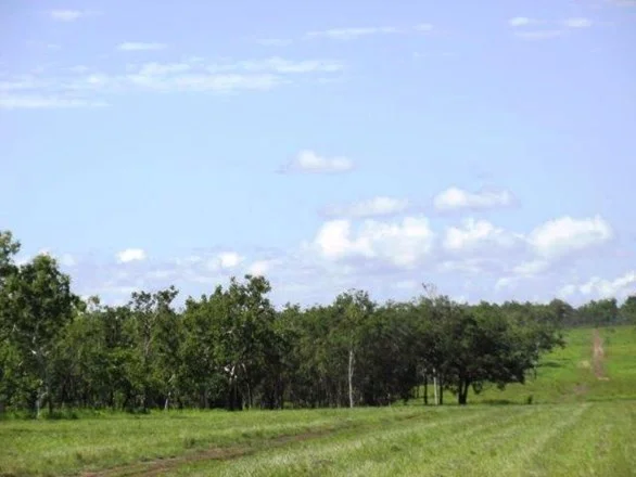 Image 10