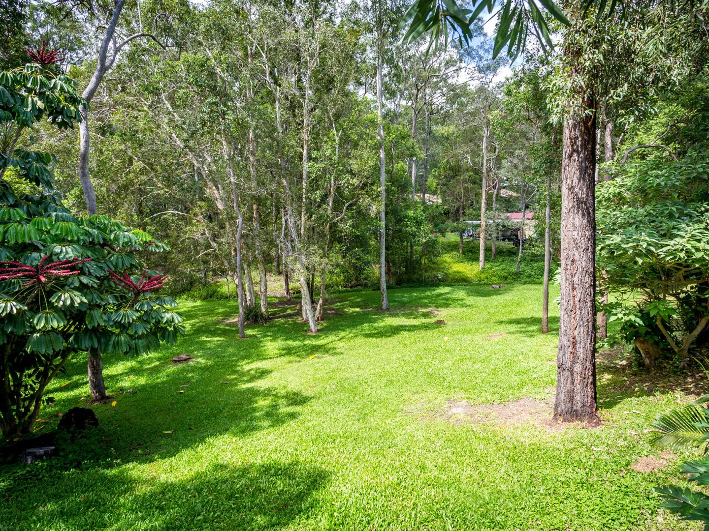 22 Walker Drive, Worongary QLD 4213, Image 2