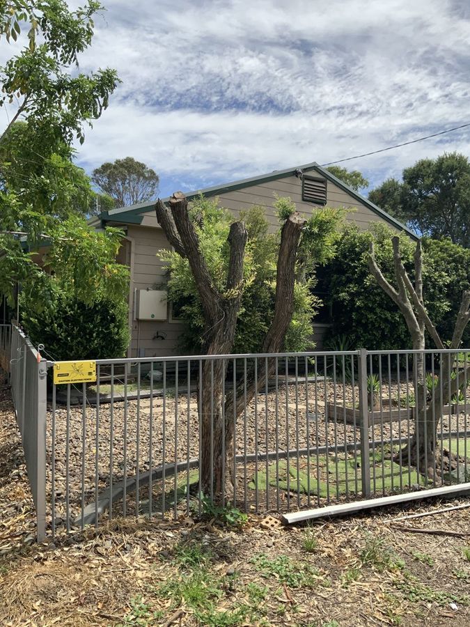 12 Cooper Street, Scone NSW 2337 House For Rent Domain