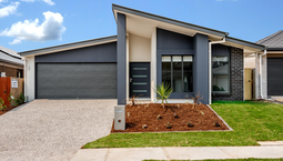 Picture of 44 Kourounis Street, LOGAN RESERVE QLD 4133