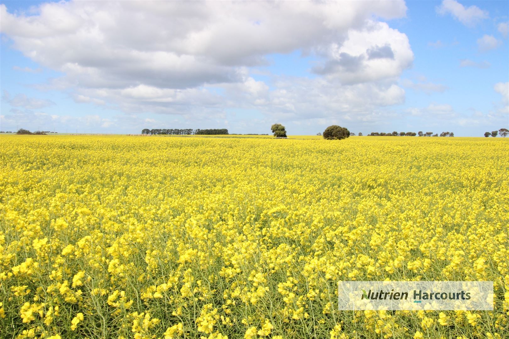 Malunga/783 Cressy-Shelford Road, Barunah Park VIC 3329, Image 0