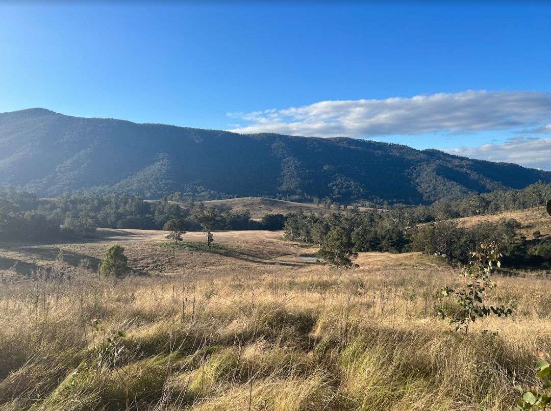 Farmlet in 38/1118 Neringla Road, NERINGLA NSW, 2622