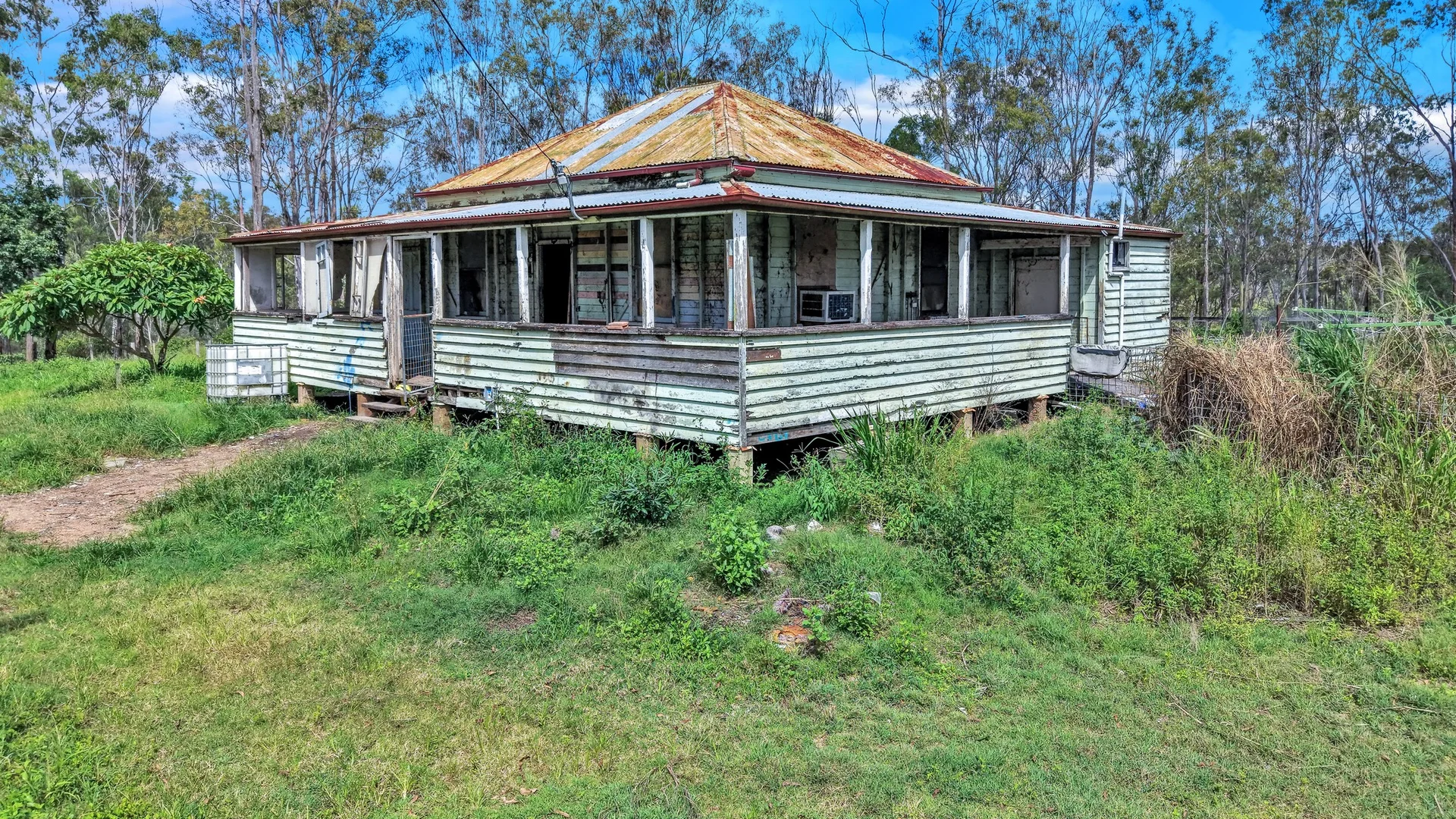Image 6