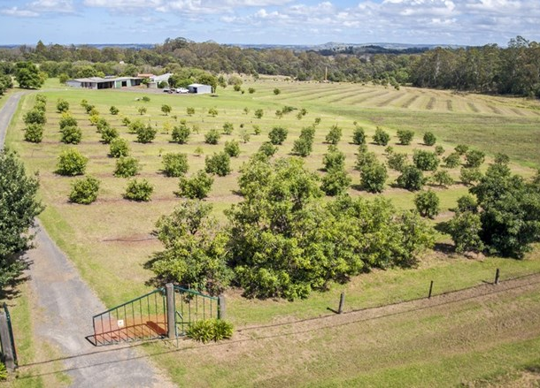 Lot 3 Brennan Road, Hampton QLD 4352