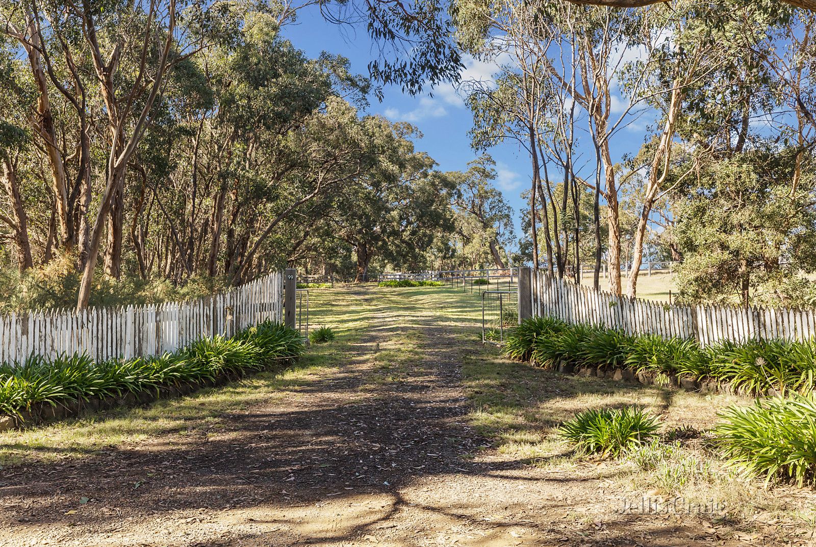 99 Falloons Road, Woodend VIC 3442, Image 0