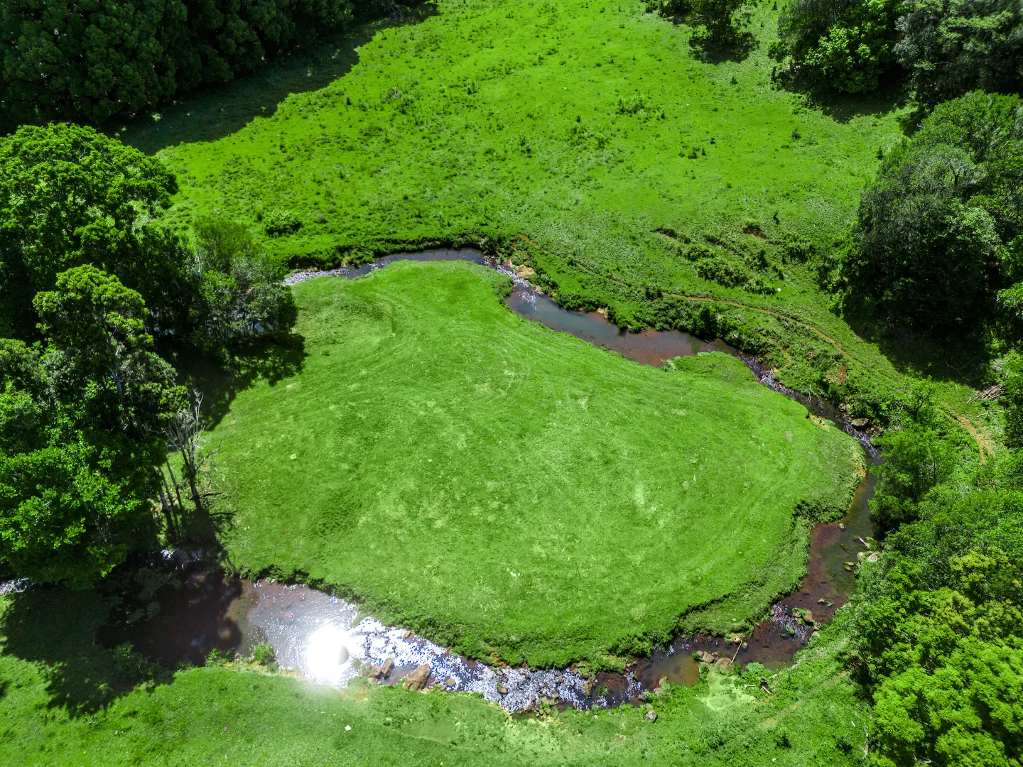 Additional image 13 of 362 Coorabell Road, Coorabell NSW 2479