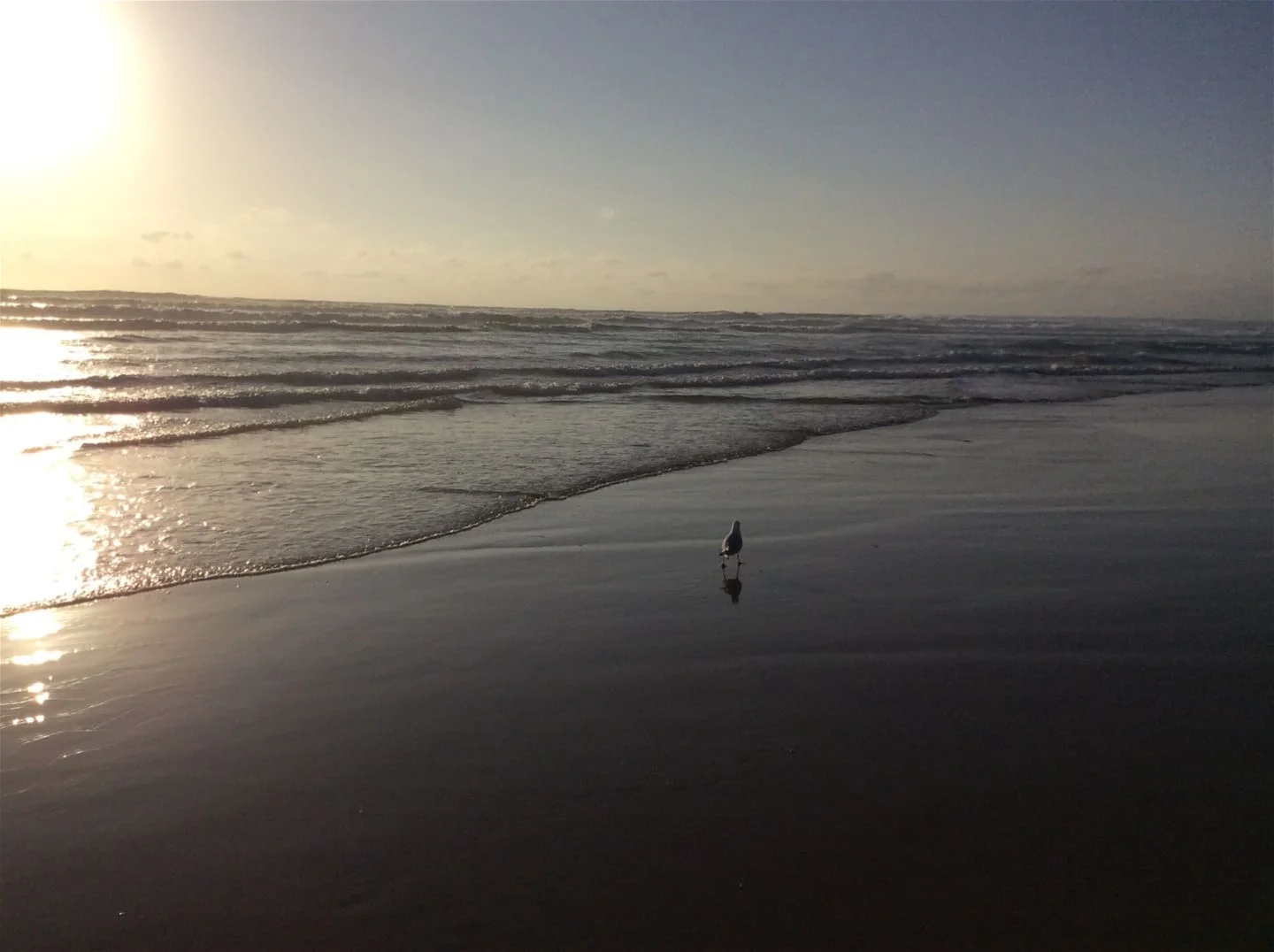 Additional image 16 of 5 Arnott St, Tarwin Lower VIC 3956