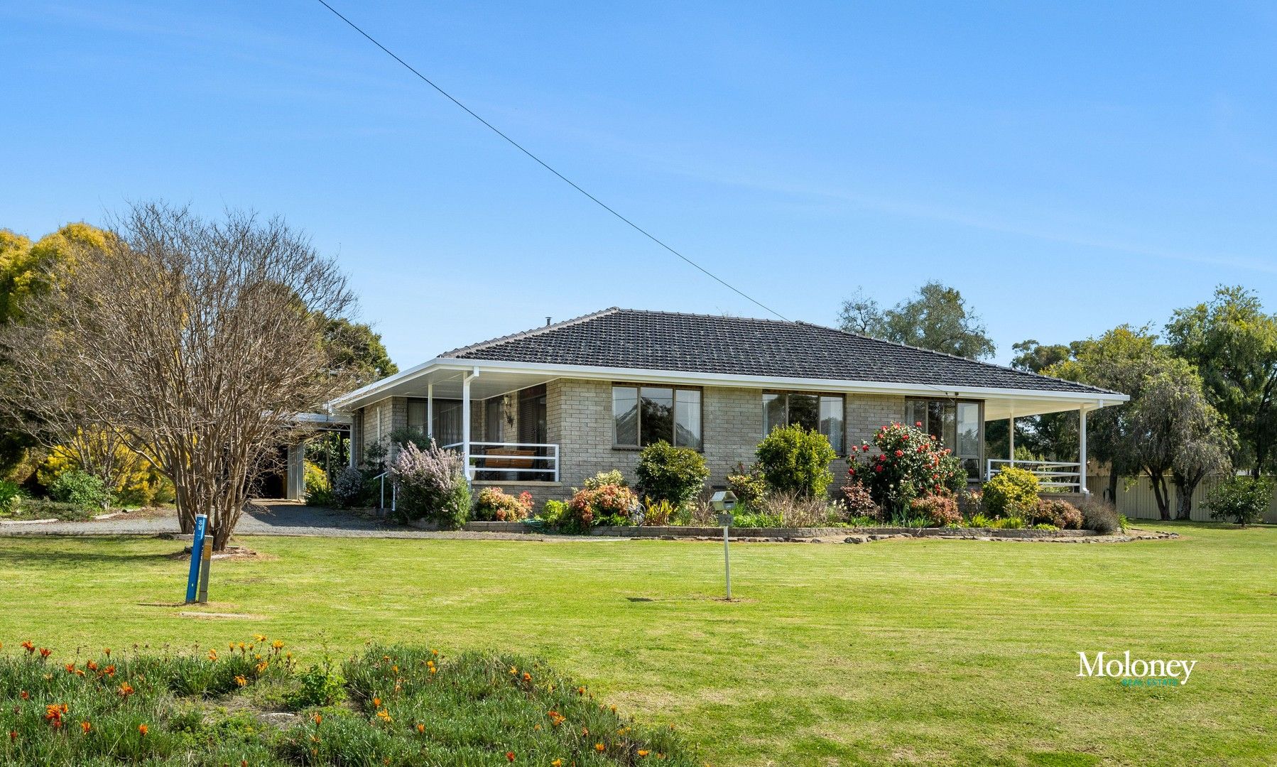 231233 River Street, Corowa NSW 2646 Domain