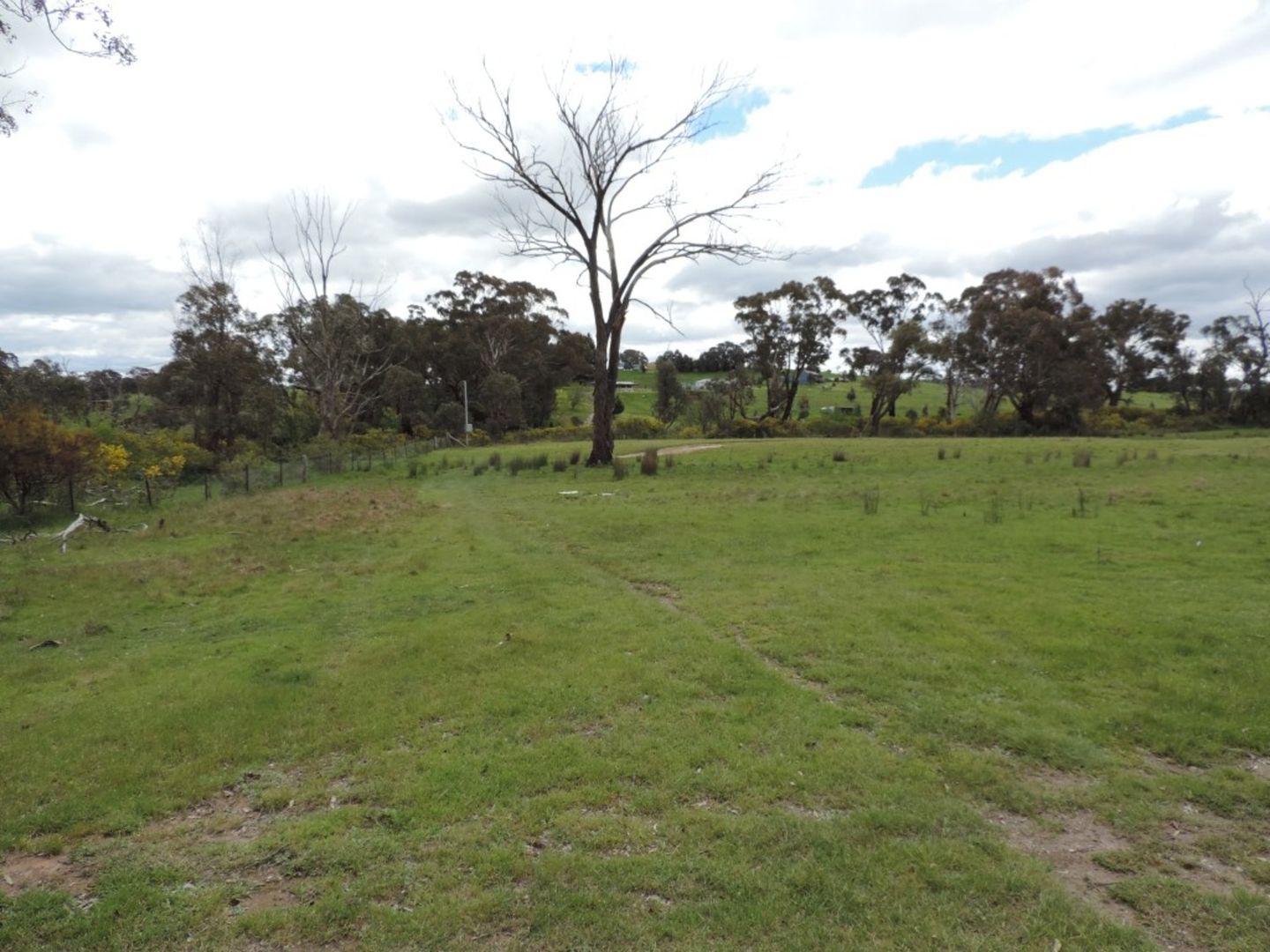 Lot 1 Suffolk Street, Binda NSW 2583, Image 2