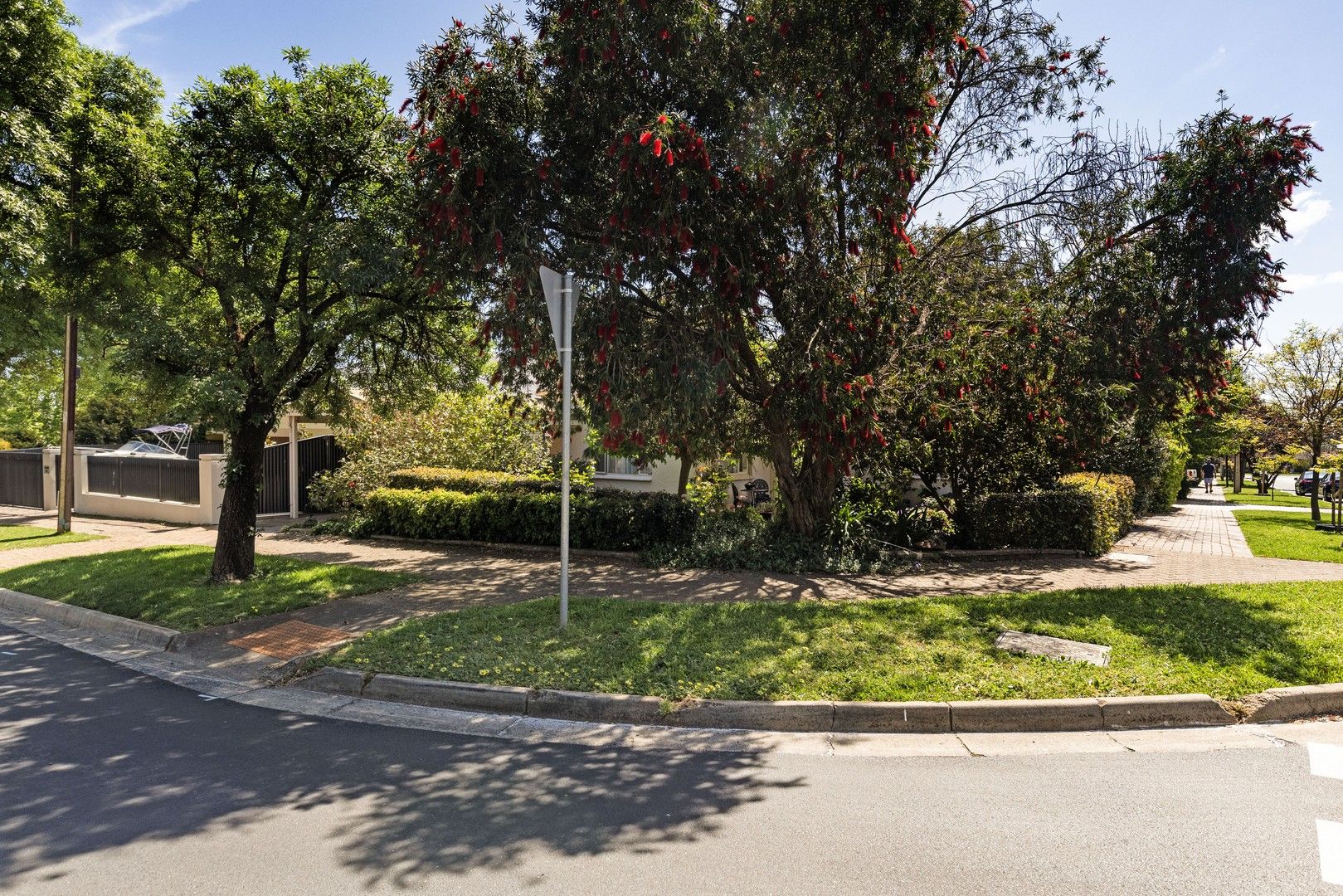 49 Sturdee Street, Linden Park SA 5065, Image 0