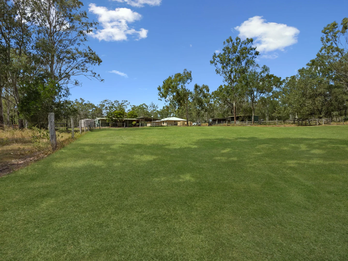 Image 29