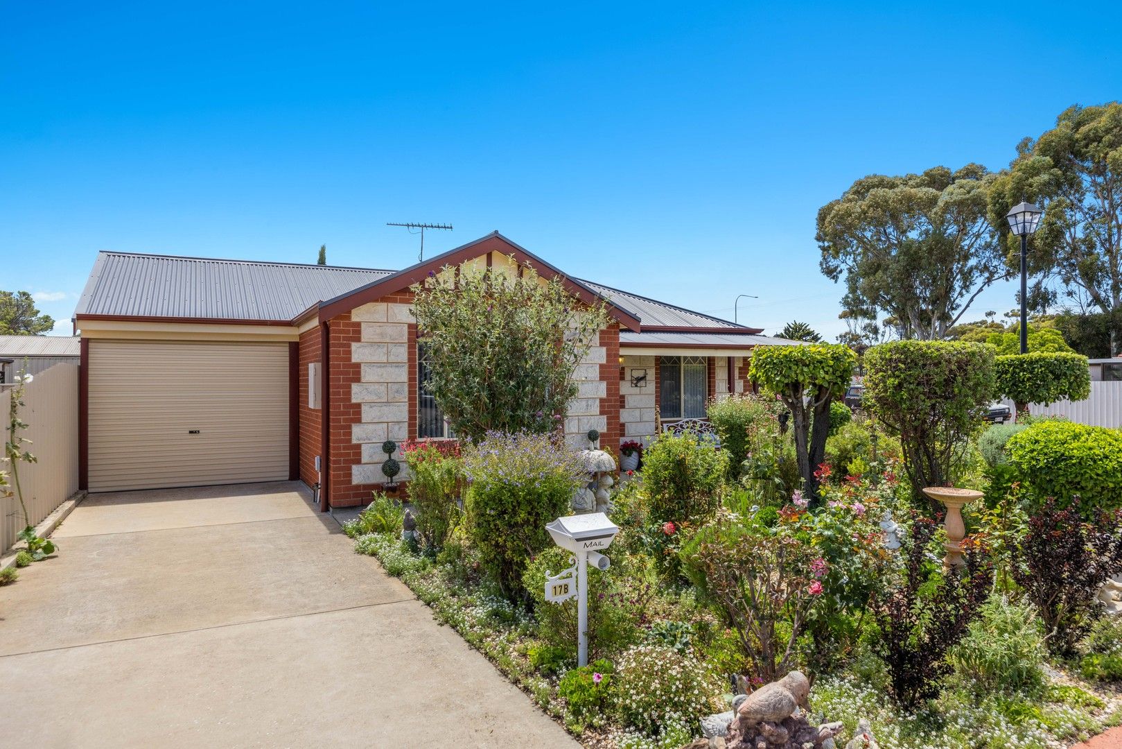 17B Irena Court, Murray Bridge SA 5253, Image 0