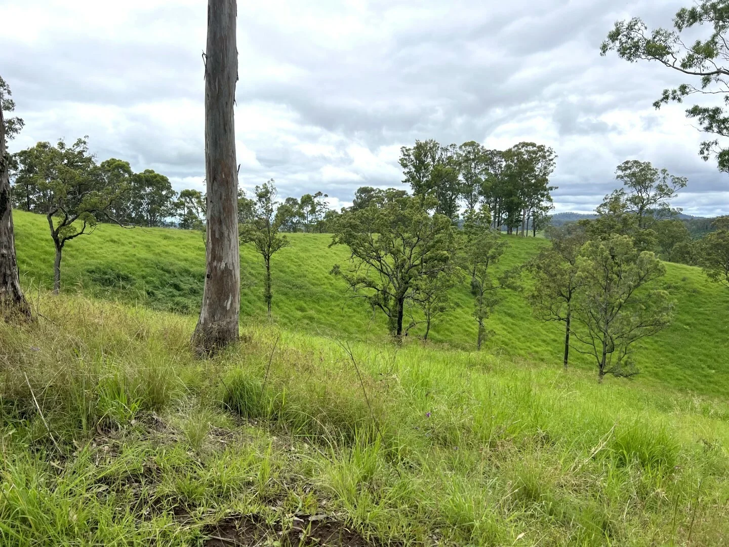 Image 15