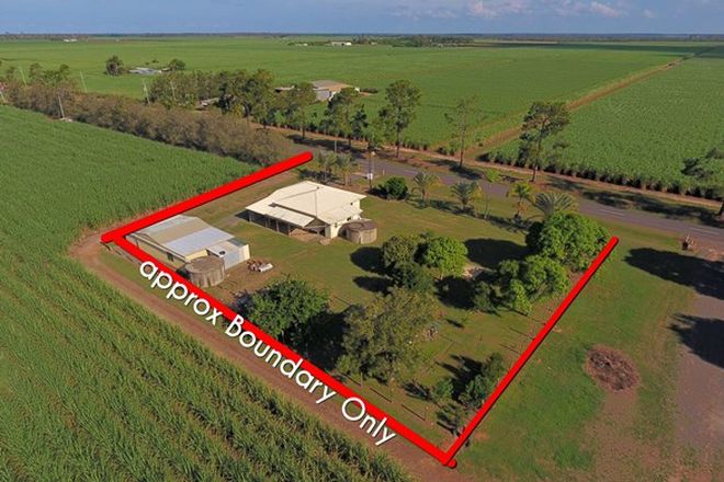 Picture of 318 Wises Road, ALLOWAY QLD 4670