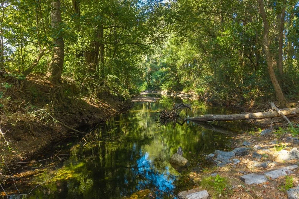 Additional image 18 of 728 Misssabotti Road, Missabotti NSW 2449