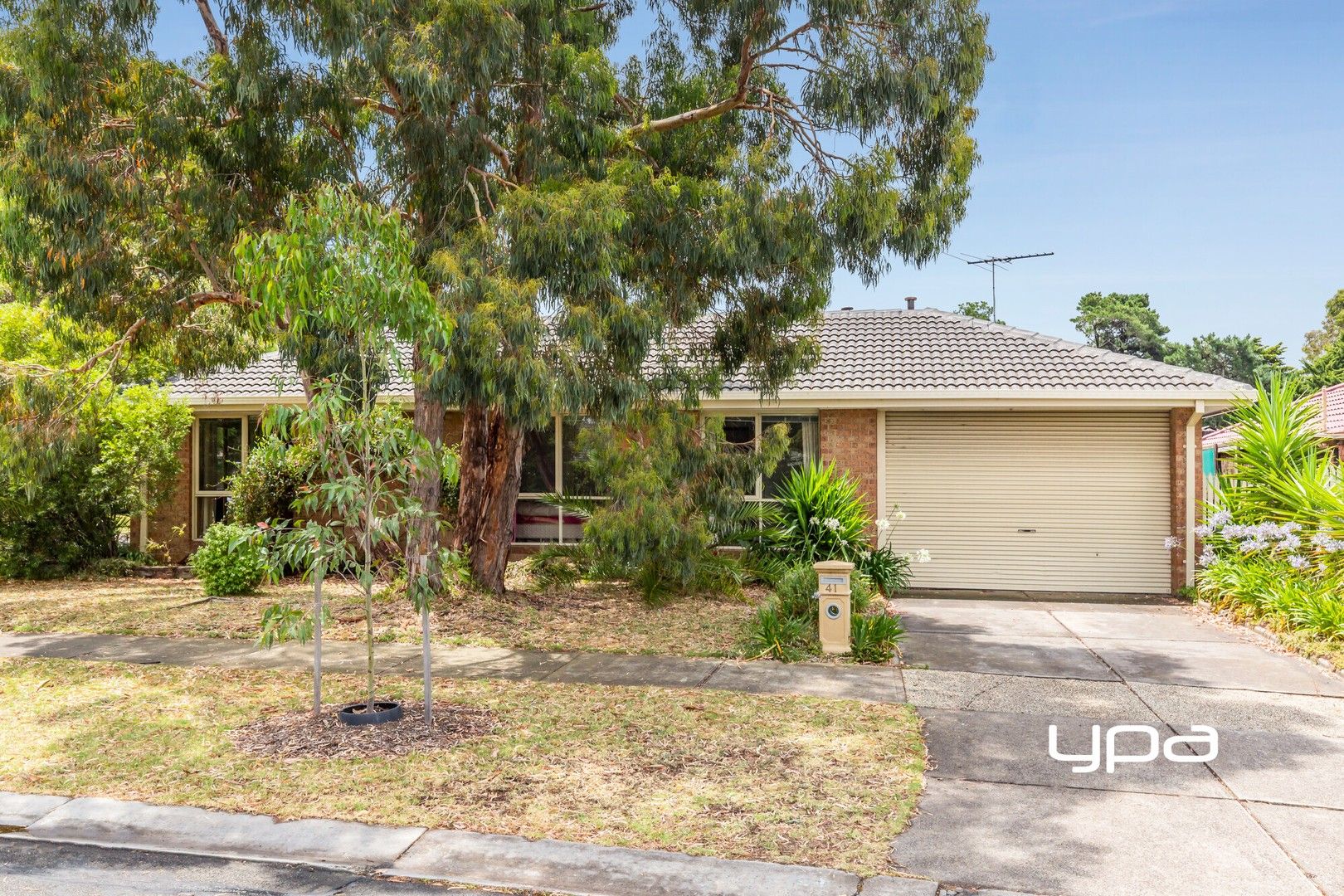 41 Notre Dame Drive, Sunbury VIC 3429, Image 0