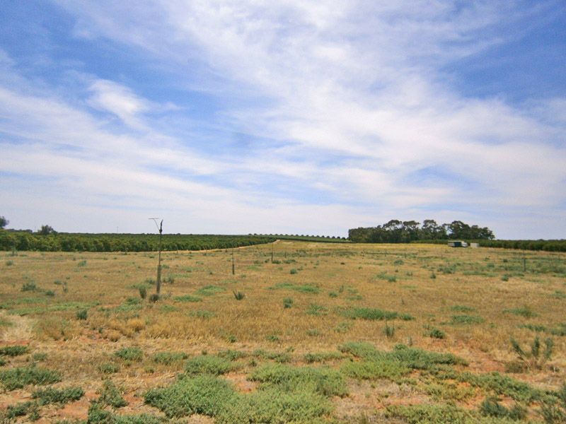 Lot 20 Playford Road, Sunlands SA 5322, Image 1