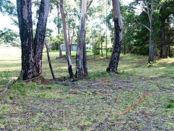 Lot 5 Cloudy Bay, Lunawanna TAS 7150, Image 2