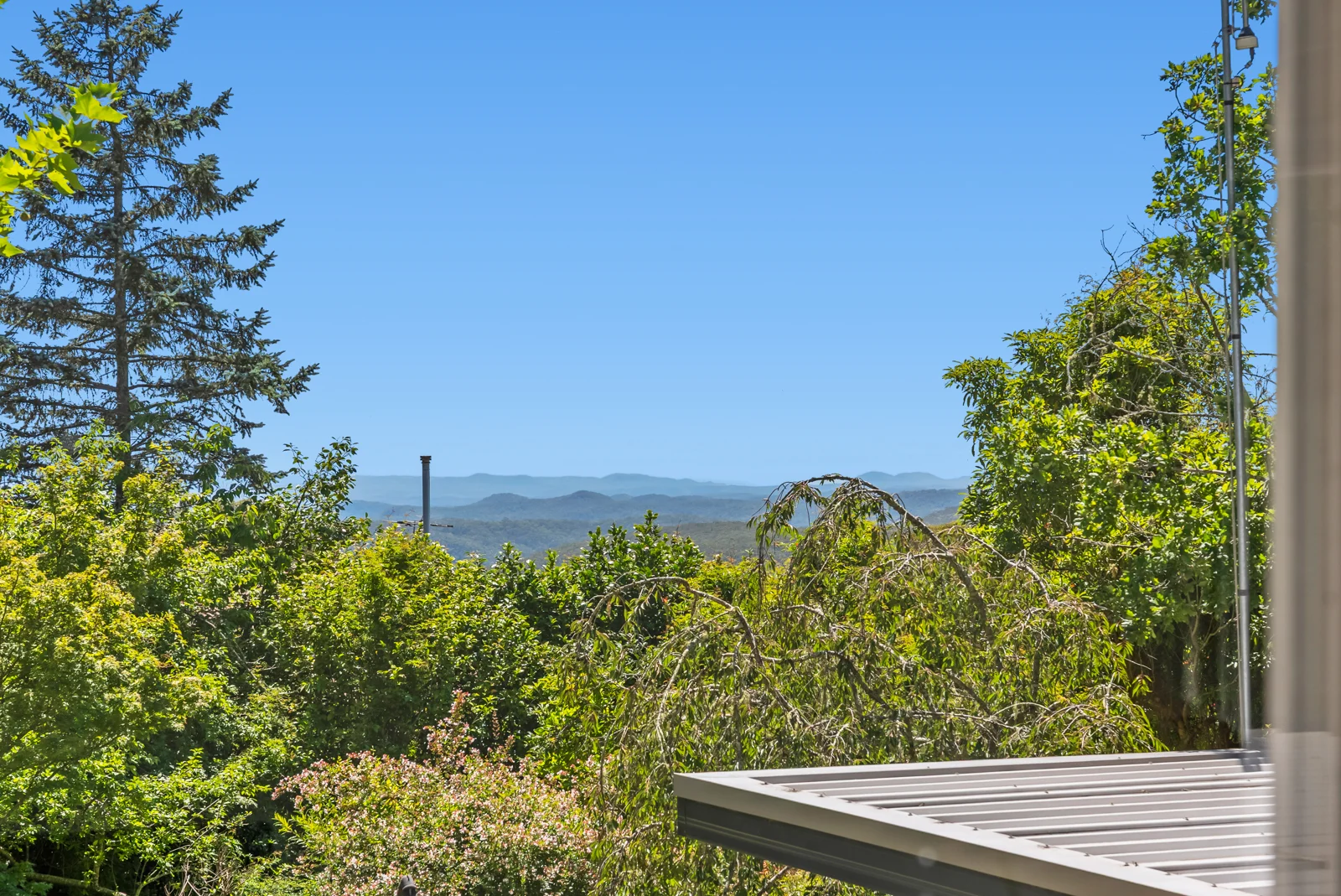 Image 14