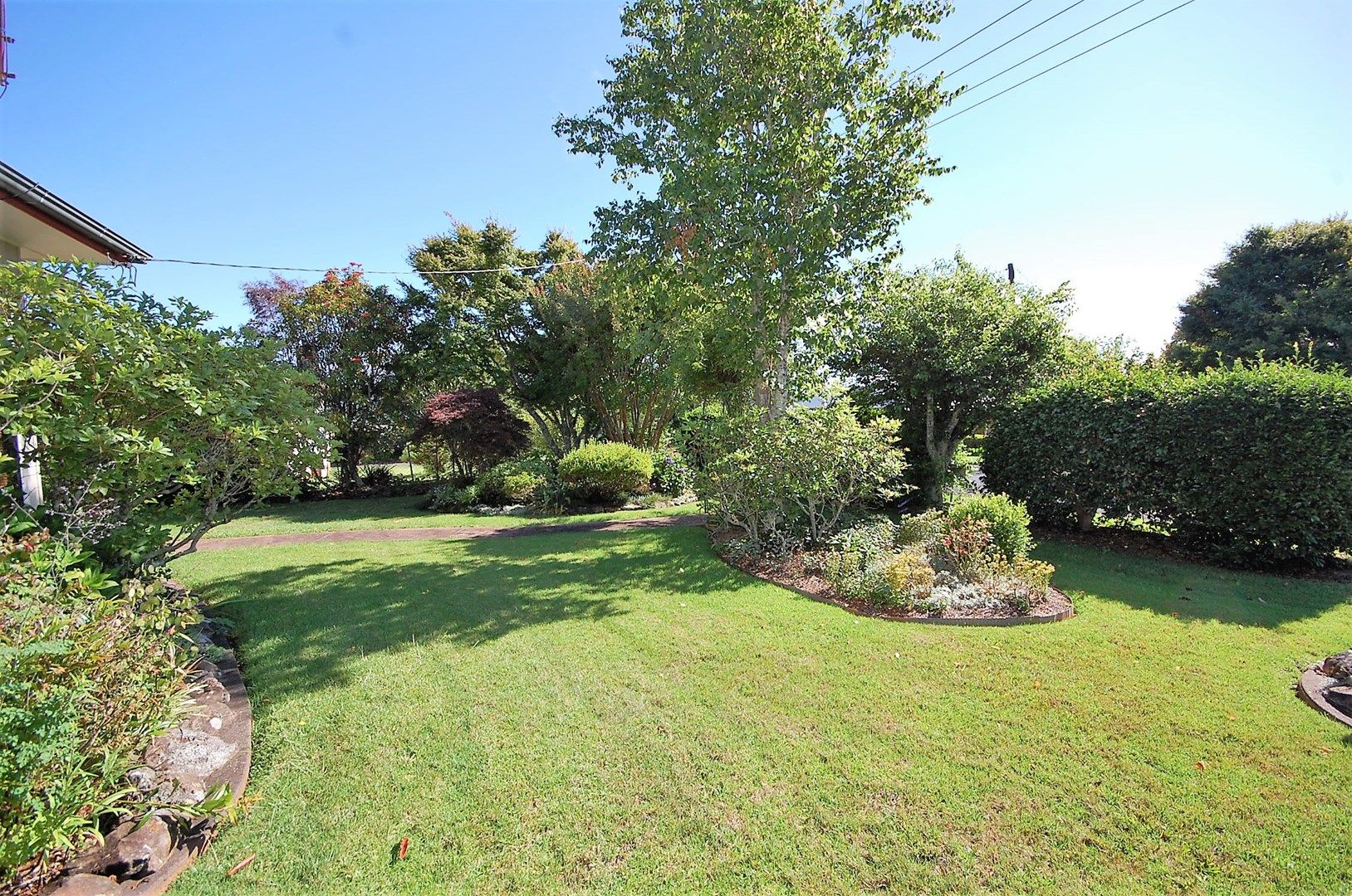 73 Kurrajong St, Dorrigo NSW 2453, Image 1