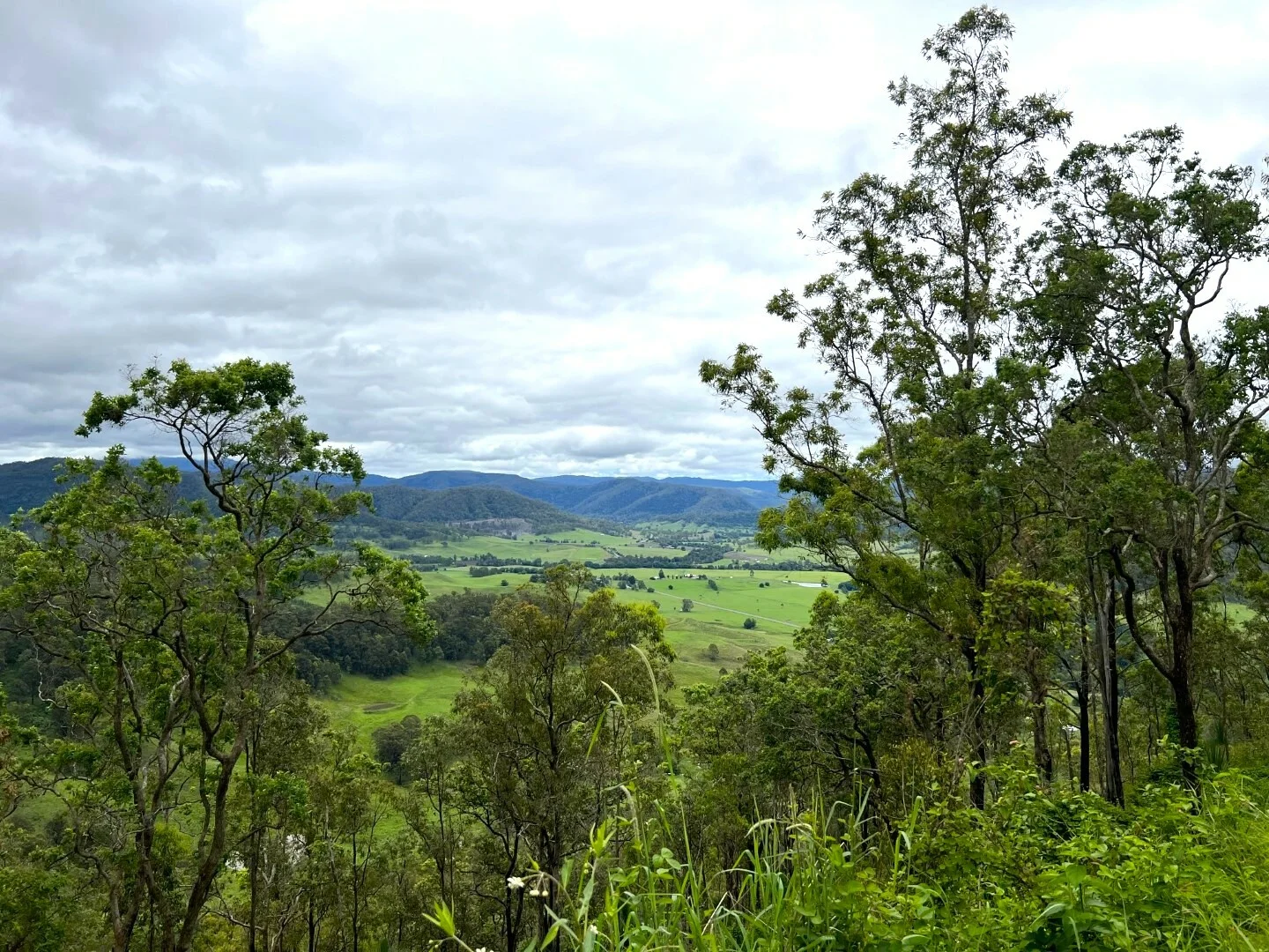 Image 12