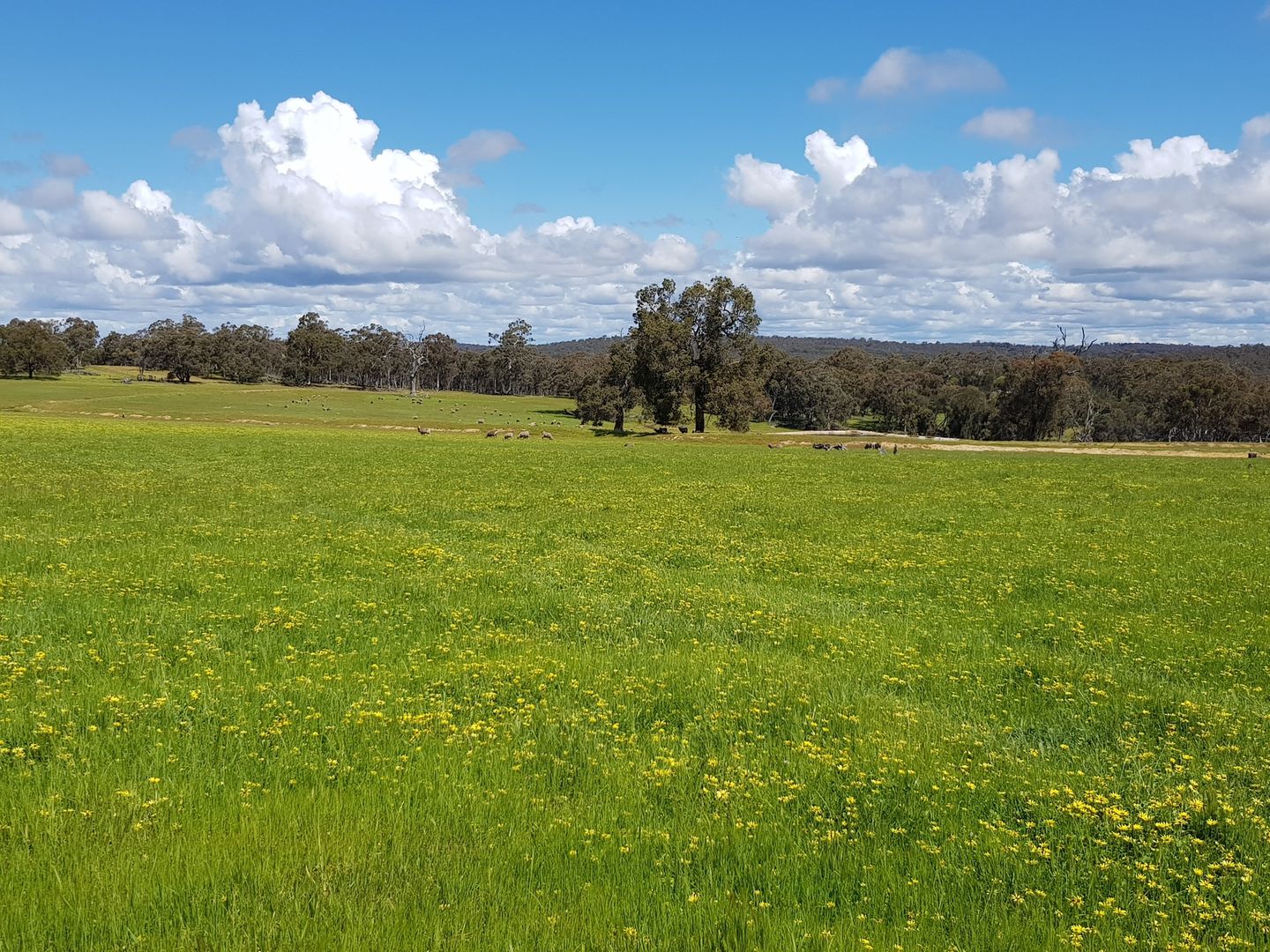 Lot 203/165 Decastilla Road, Clackline WA 6564, Image 1