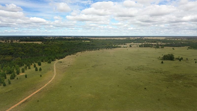 11173 Newell Highway, Narrabri NSW 2390, Image 2