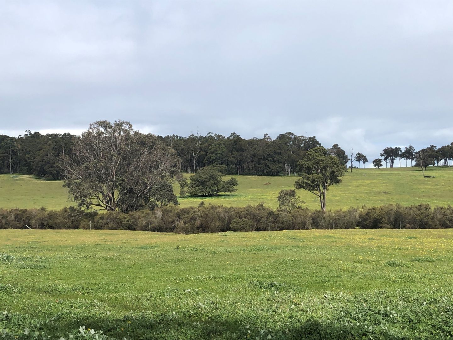 Lot 3817 Weld Road, Capel WA 6271, Image 2