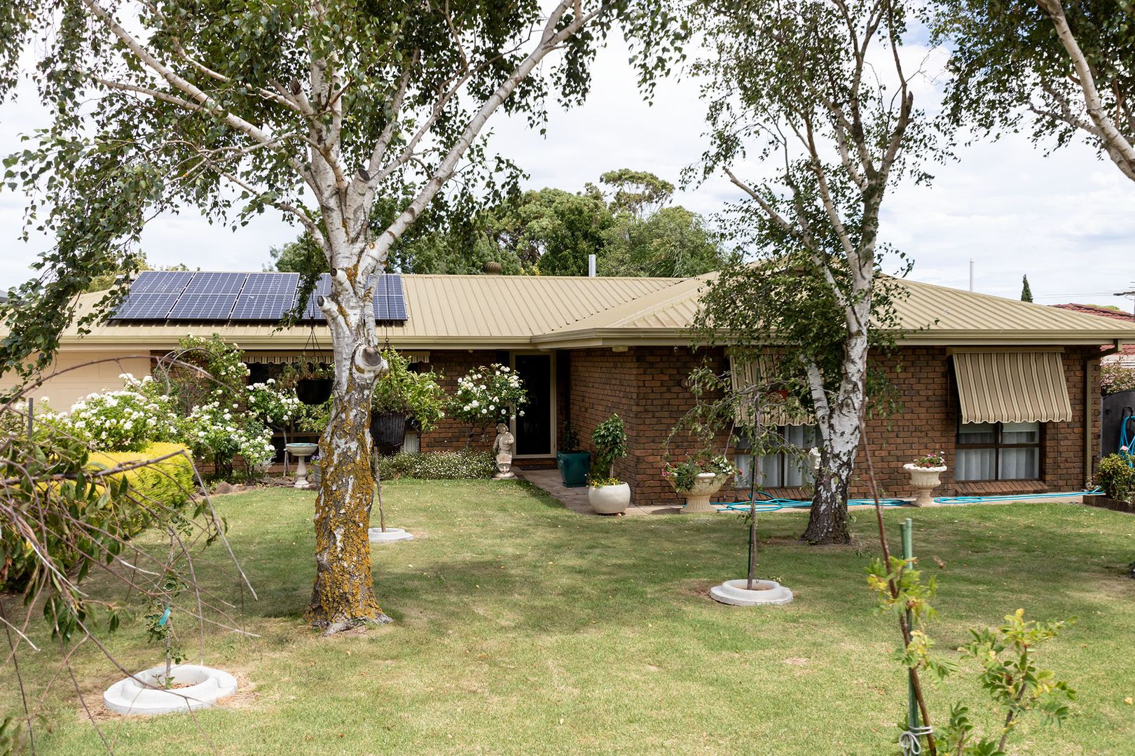 41 Grosser Street, Millicent SA 5280, Image 2