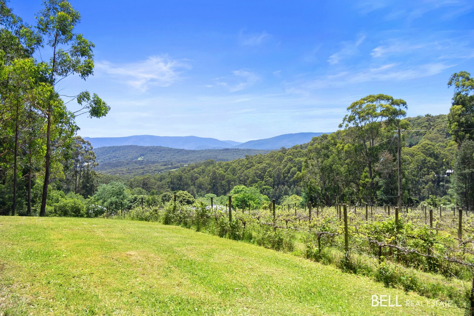Additional image 10 of 795 Gembrook-Launching Place Road, Hoddles Creek VIC 3139