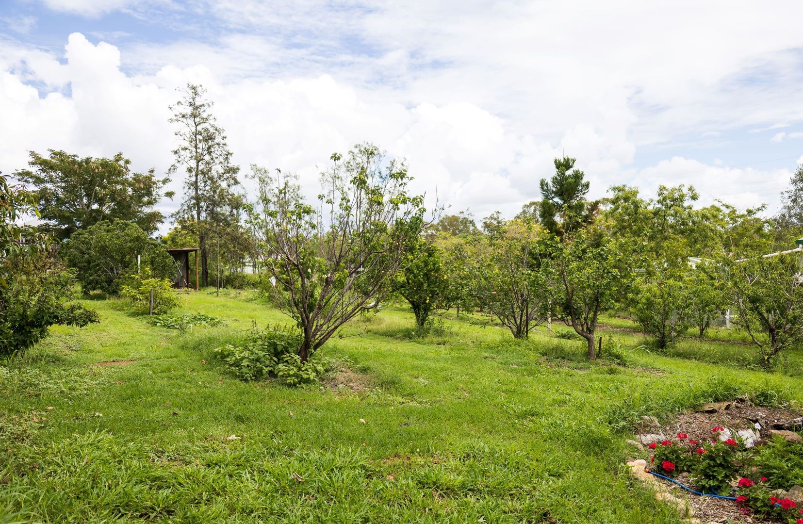 20 Bamboo Street, Gayndah QLD 4625, Image 2