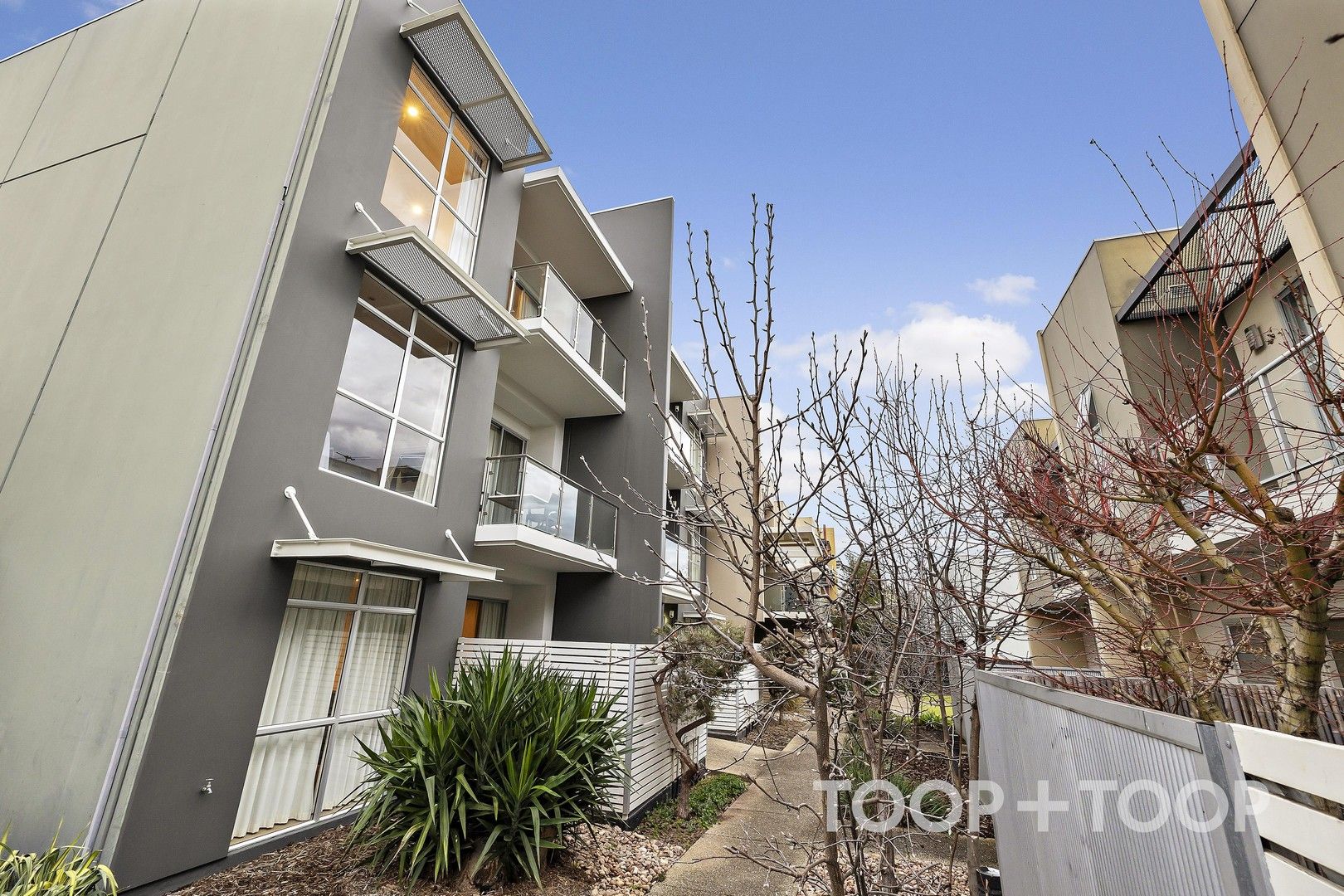 6/6A Tyne Place, Unley SA 5061, Image 0