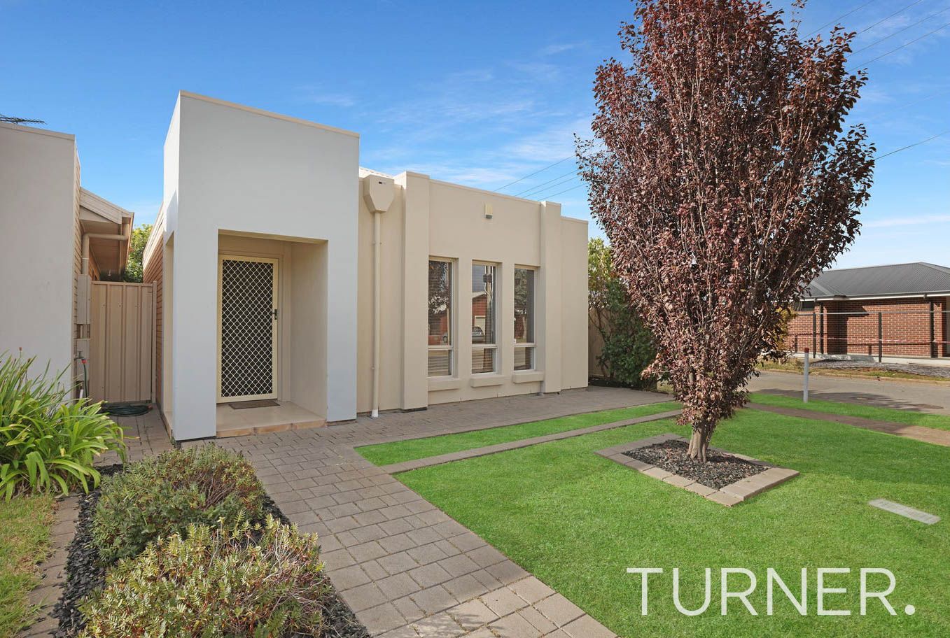 52 Russ Ave, Seaton SA 5023 House For Rent 620 Domain