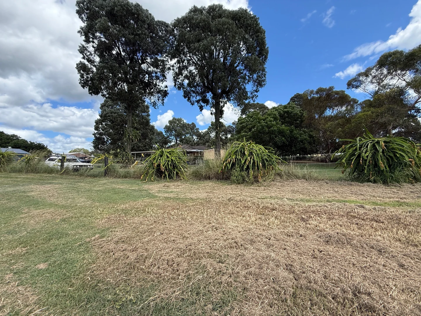 Image 20